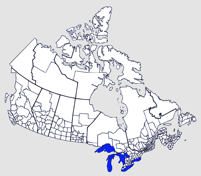 Census map of Canada